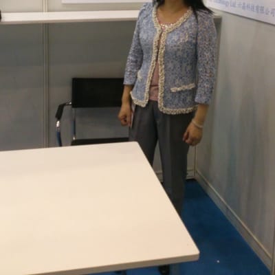 METs 展览 2014 photo 1